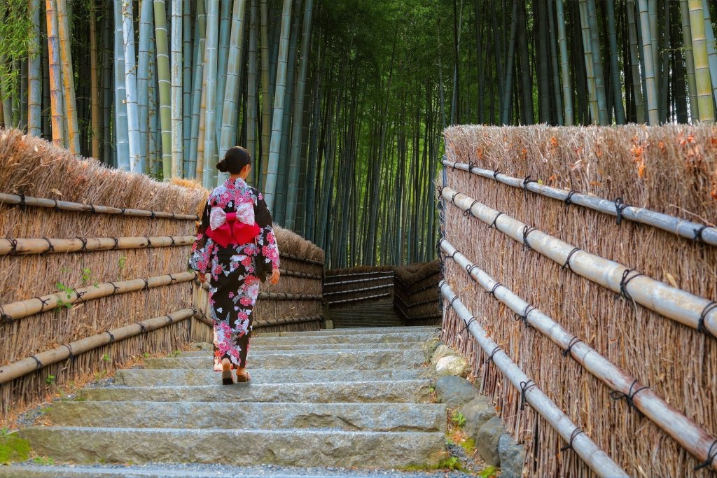Arashiyama Bamboo Forest Kyoto Guided Tour
