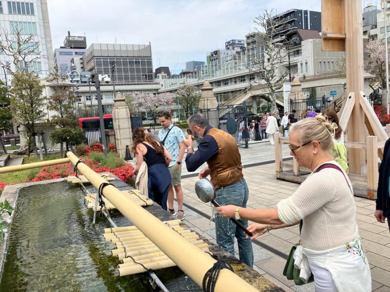 Tsukiji Market Tour Tokyo