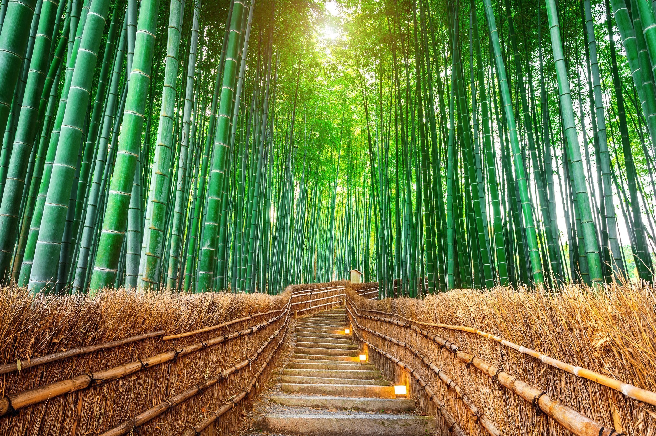 Things To Do In Kyoto Arashiyama
