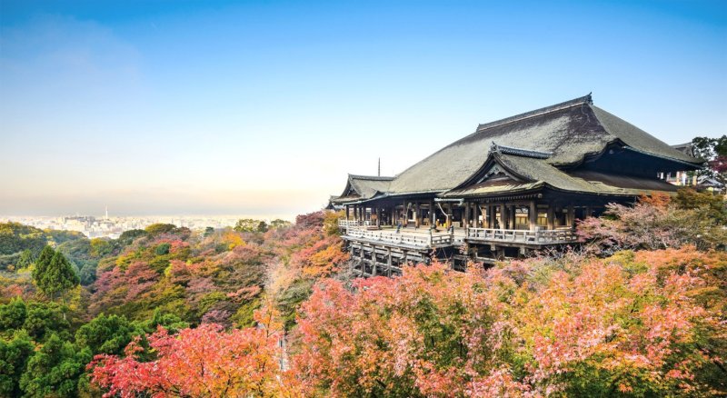 Explore Temples And Shrines With Your Guide In Kyoto