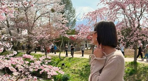 Female Tourist Admiring Mount Fuji During Sakura Season
