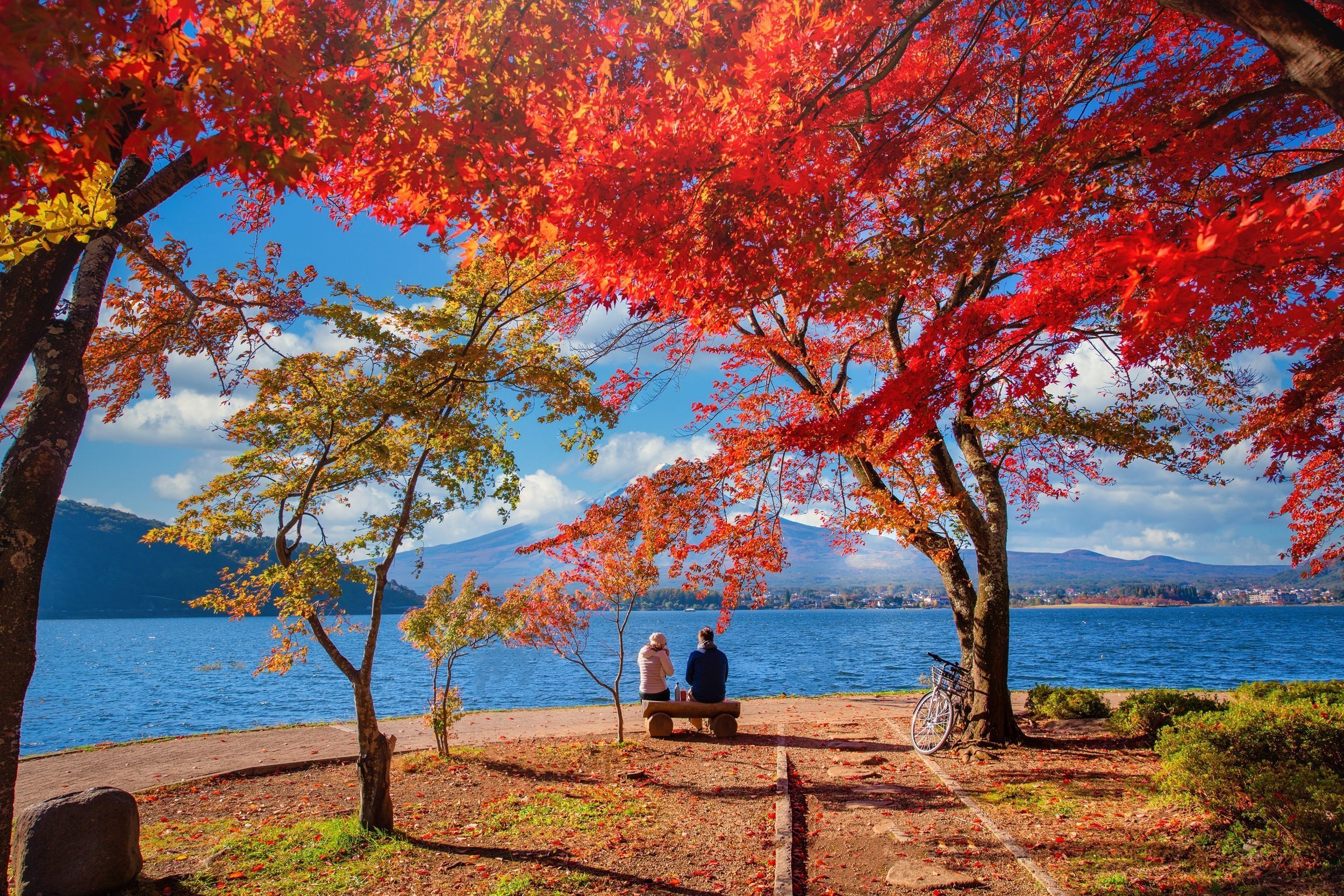 Mount Fuji & Lake Kawaguchi In Fall With Colorful Trees