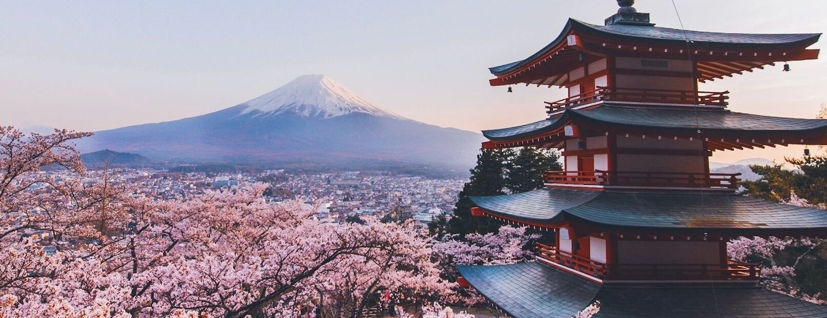 Mount Fuji Arakurayama Sengen Park