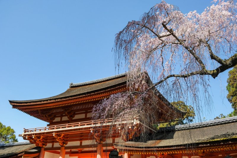 Kasuga Taisha Shrine Nara