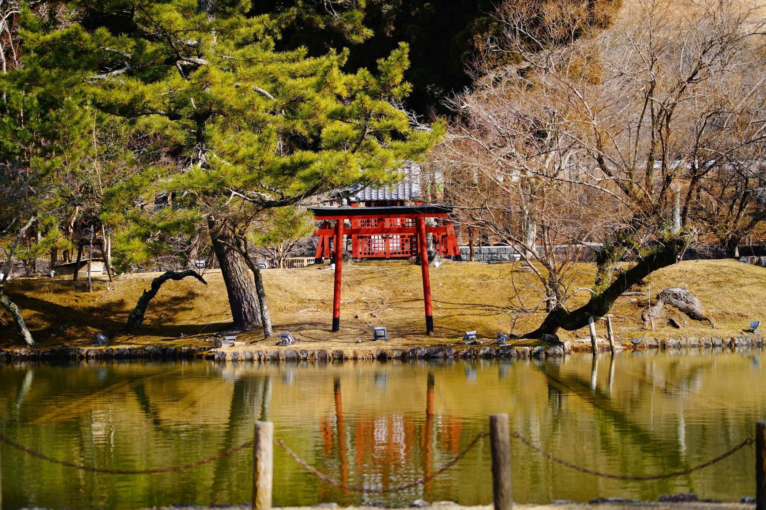 Great Buddha Garden Nara Park