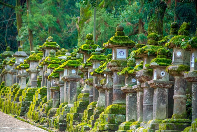 Japanese Lanterns At Kasuga-taisha Shrine In Nara Japan