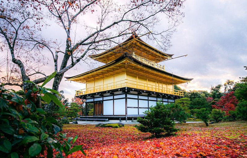 Golden Pavilion Kyoto