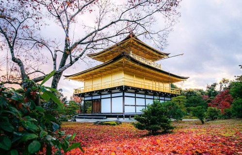 Golden Pavilion Kyoto