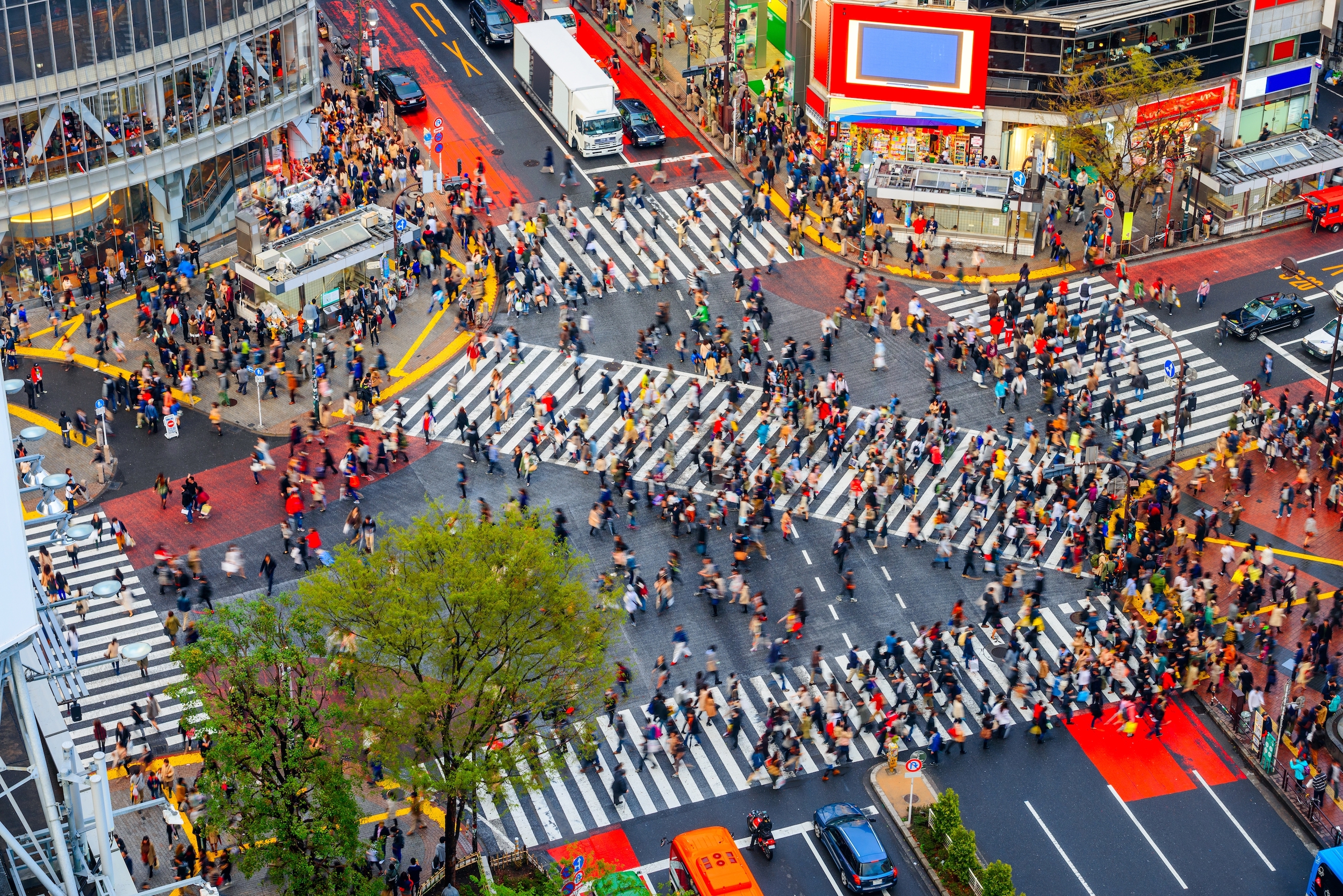 7 Day Best Of Japan Private Tour Package - Shibuya, Tokyo, Japan Crosswalk And Cityscape In The Late Afternoon.