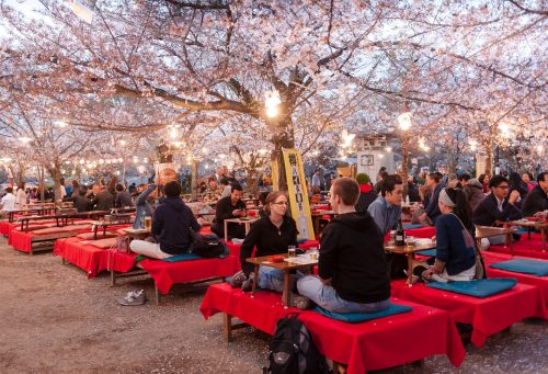 Hanami Festival