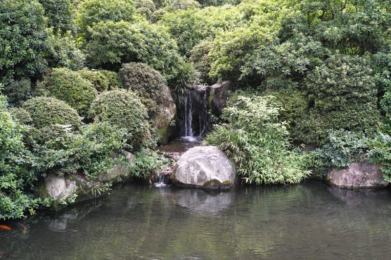 Visit Nezu Shrine On A Walking Tour