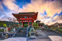 Japan Tours