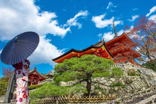 Private Kyoto Tour From Osaka