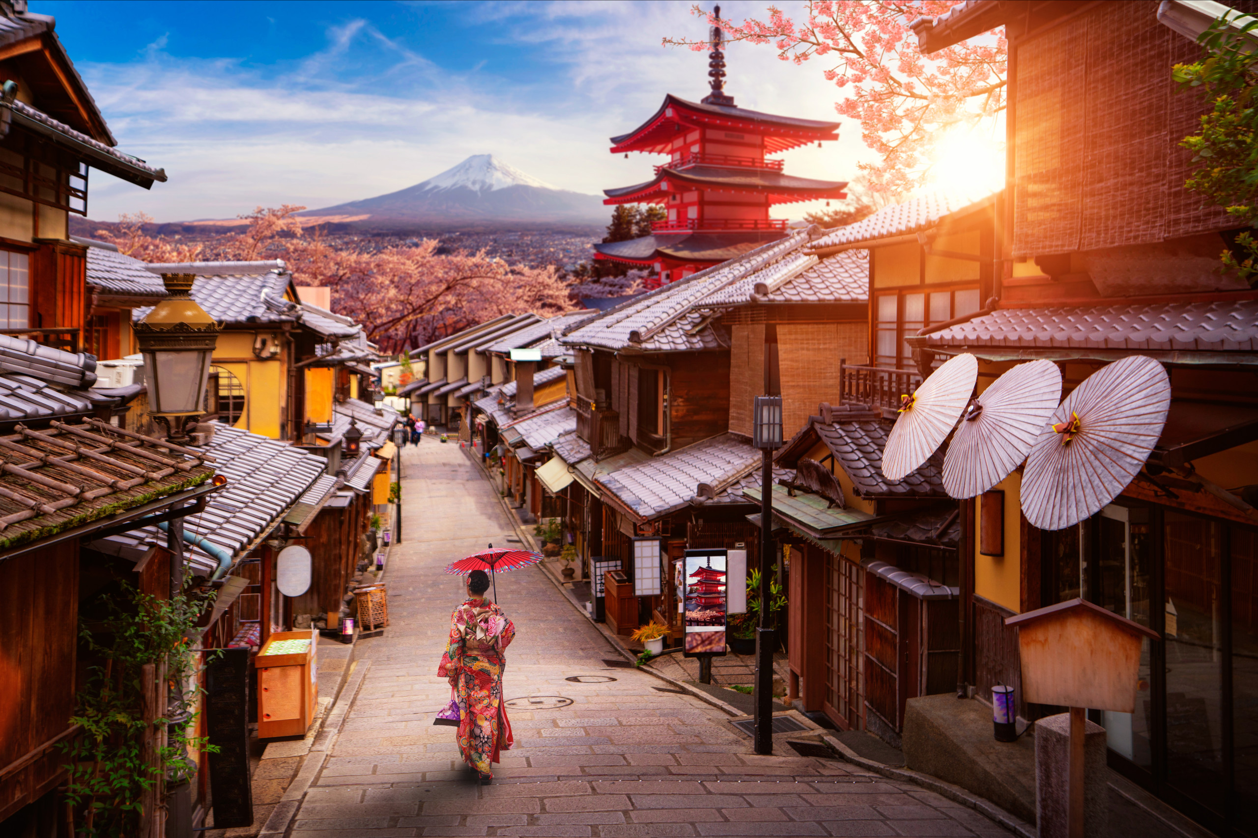 Private Kyoto Tour From Osaka
