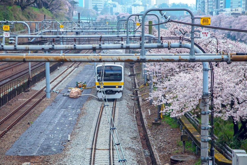 Local train tokyo to kamakura